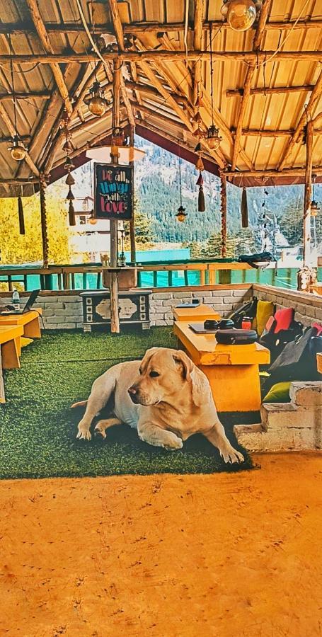 The Culture Nation Hostel Manali Zewnętrze zdjęcie